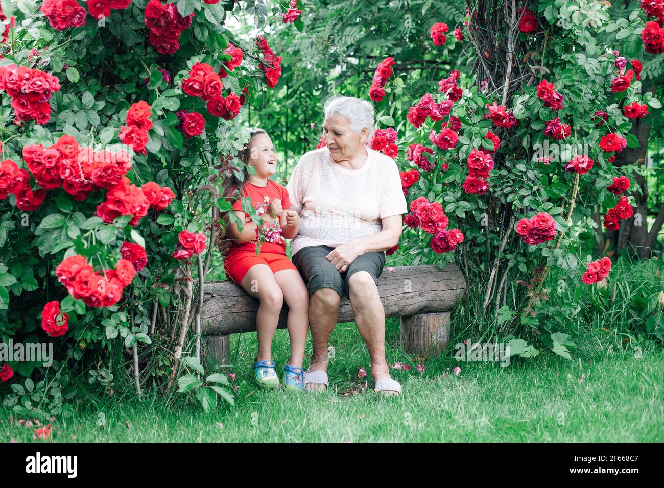 an old grandmother tells the girl funny stories from her childhood sitting on a bench made of logs in the garden under an arch of roses Stock Photo