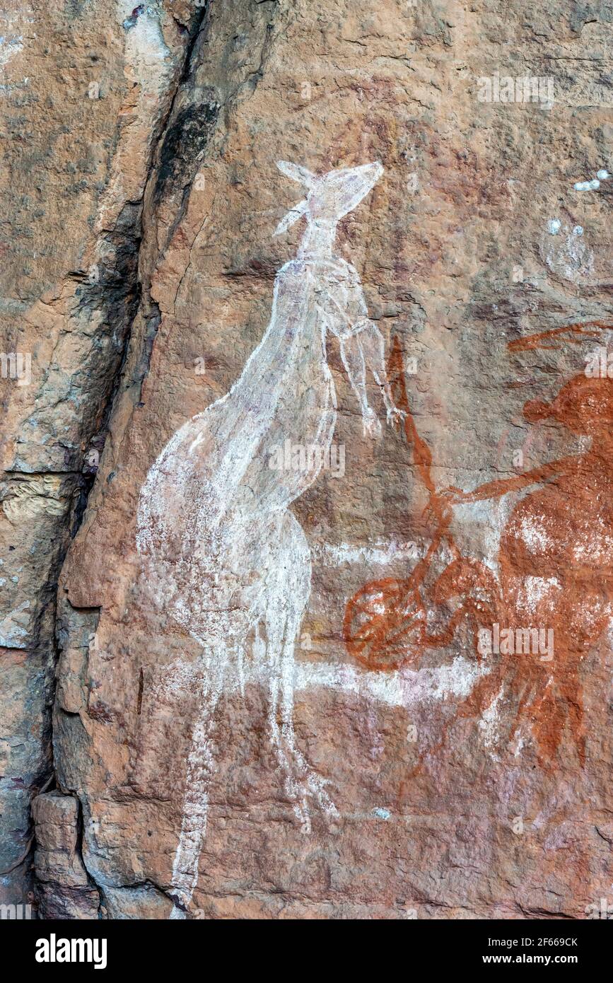 Ancient aboriginal rock art of kangaroo at Nourlangie (Burrunggui), Kakadu National Park, Northern Territory, Australia Stock Photo