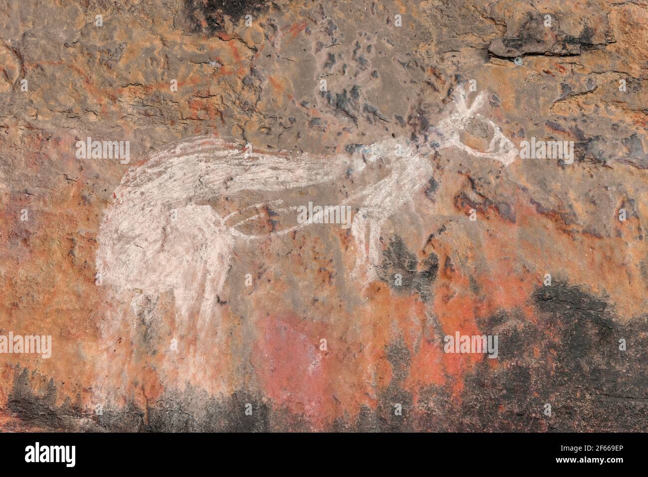 Ancient aboriginal rock art of kangaroo at Nourlangie (Burrunggui), Kakadu National Park, Northern Territory, Australia Stock Photo