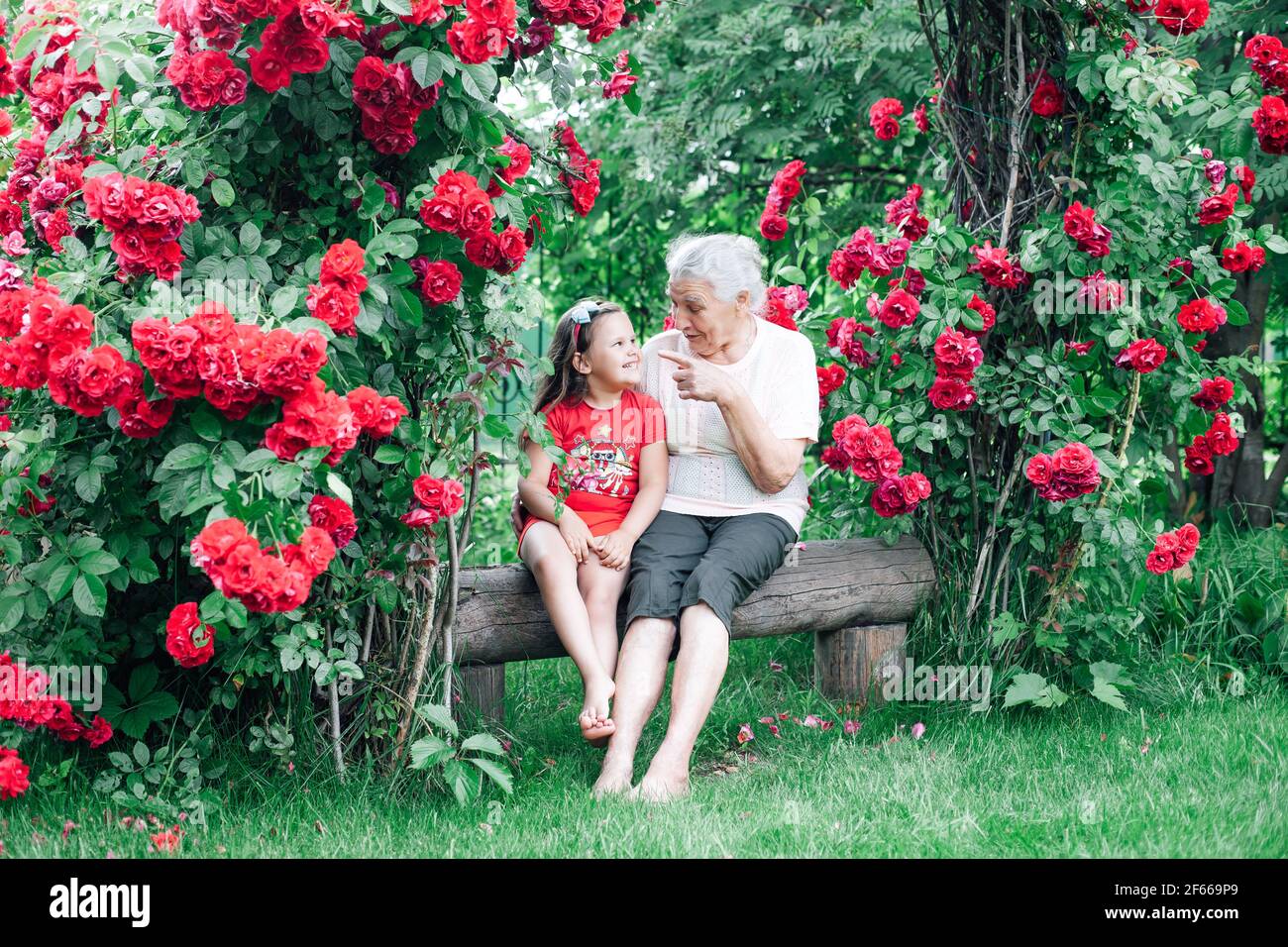 gray-haired old lady touches granddaughter's nose with her index finger, symbol or gesture of instruction, sitting on a bench under an arch of roses Stock Photo