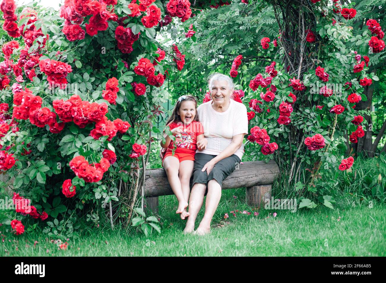 grandmother and granddaughter frolic and indulge in the garden on a bench under a rose Stock Photo