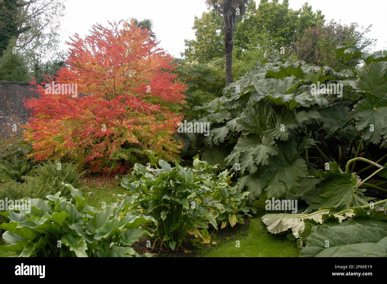Rose garden gazebo and trellis hi-res stock photography and images - Alamy