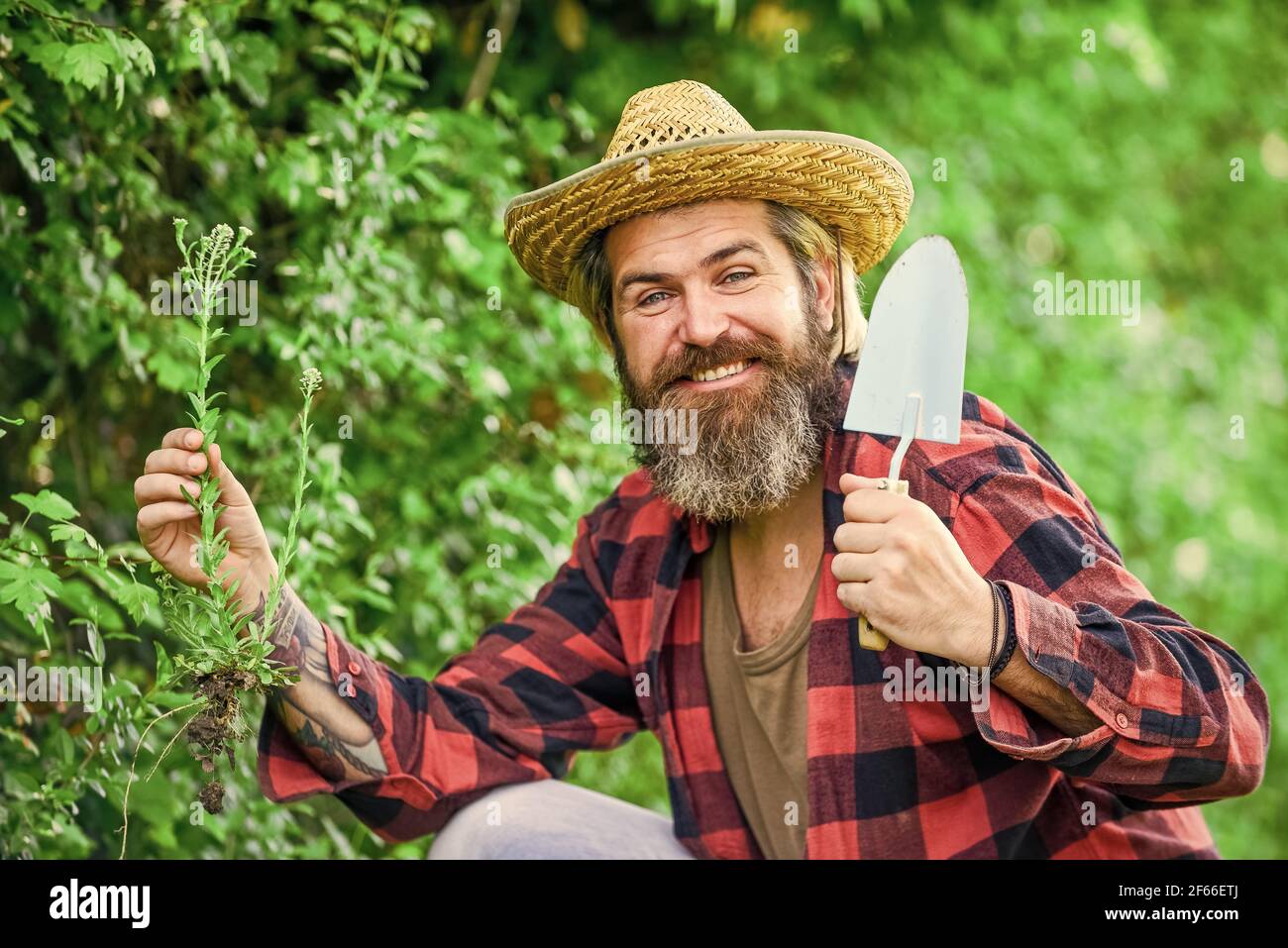 Gardeners hands plant flowers in backyard. Gardener planting flowers with garden trowel. Farmer planting seedling in organic garden. happy man. people Stock Photo