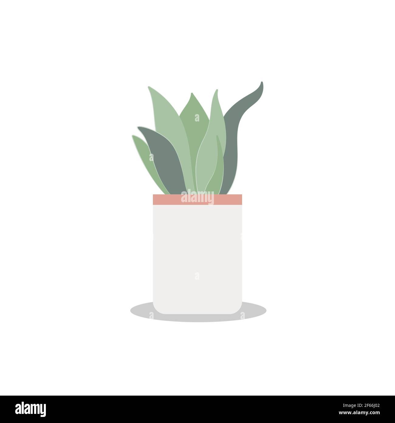 Home plant Vector icon isolated on white backdrop Stock Vector