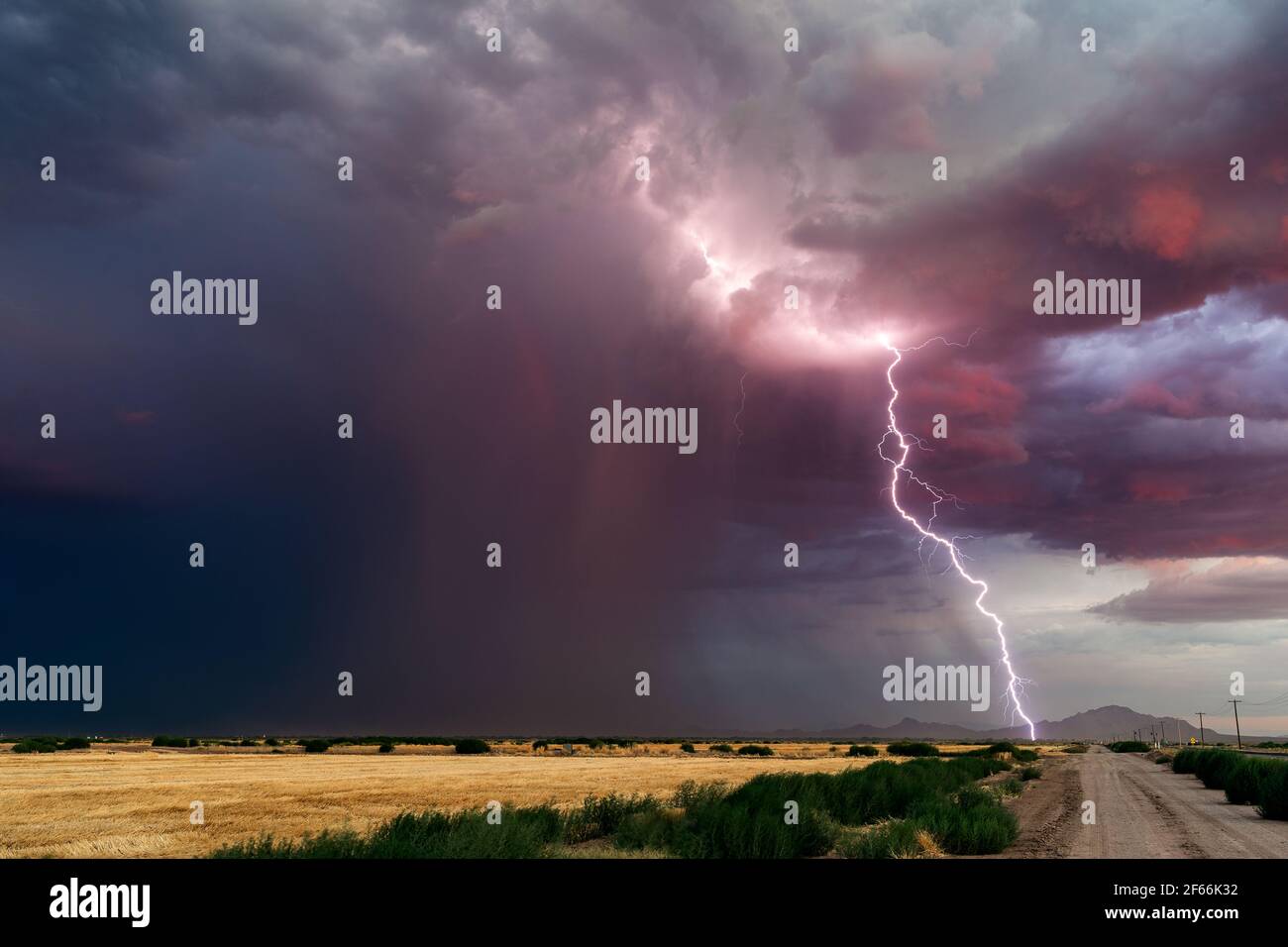 A powerful lightning bolt strike from a storm in Arizona Stock Photo