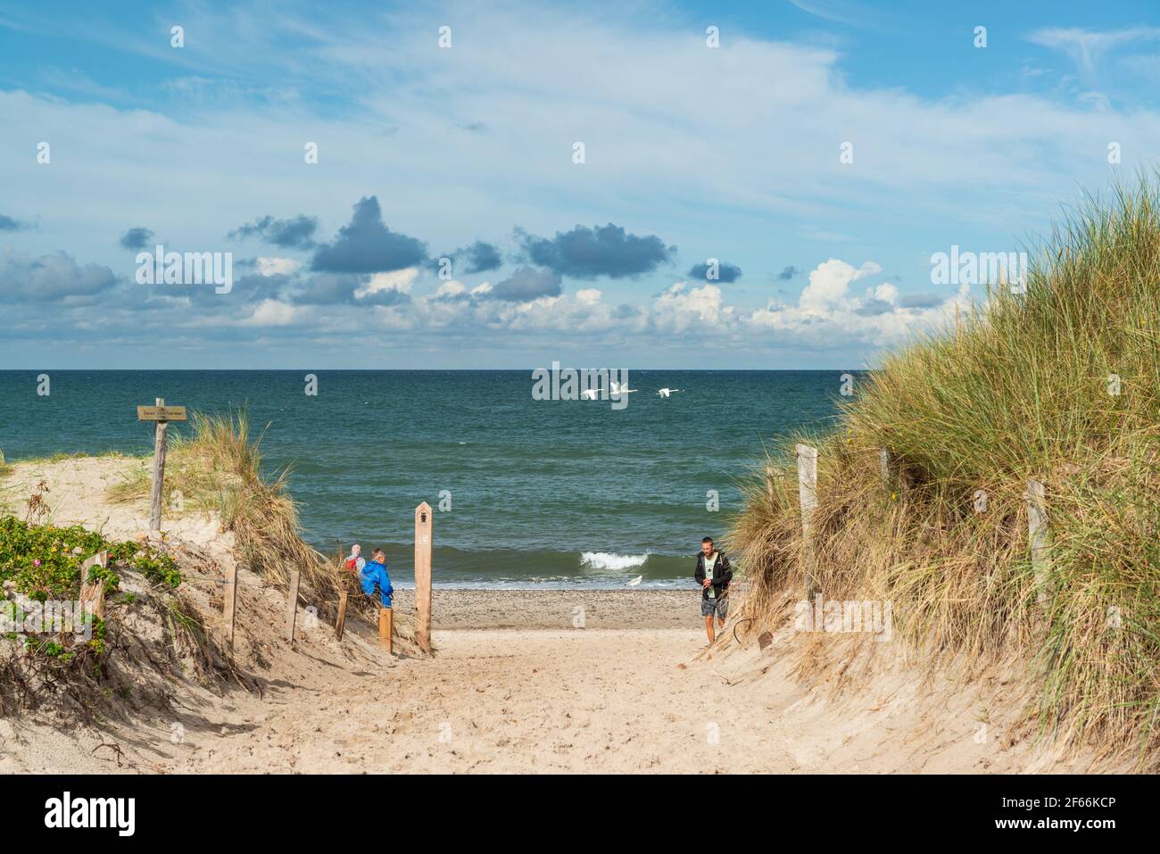 Zugang zum Weststrand des Ostseebades Prerow mit seiner Ruhe und dem herrlichen Sandstrand Stock Photo