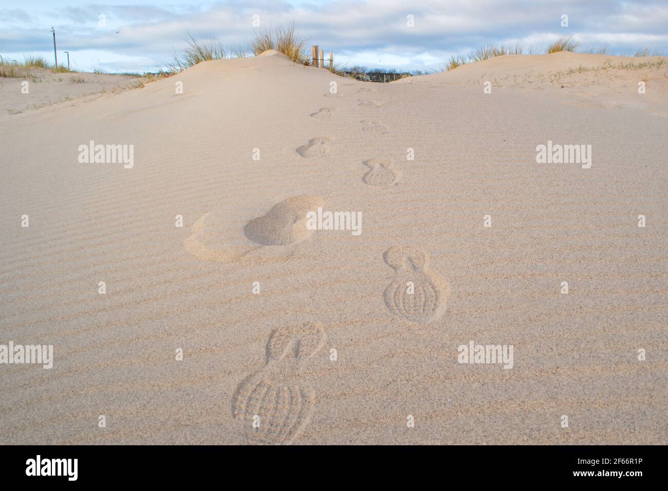 Footprints in the sand at South Shields beach, a seaside town near Newcastle upon Tyne in the North East of England. Stock Photo