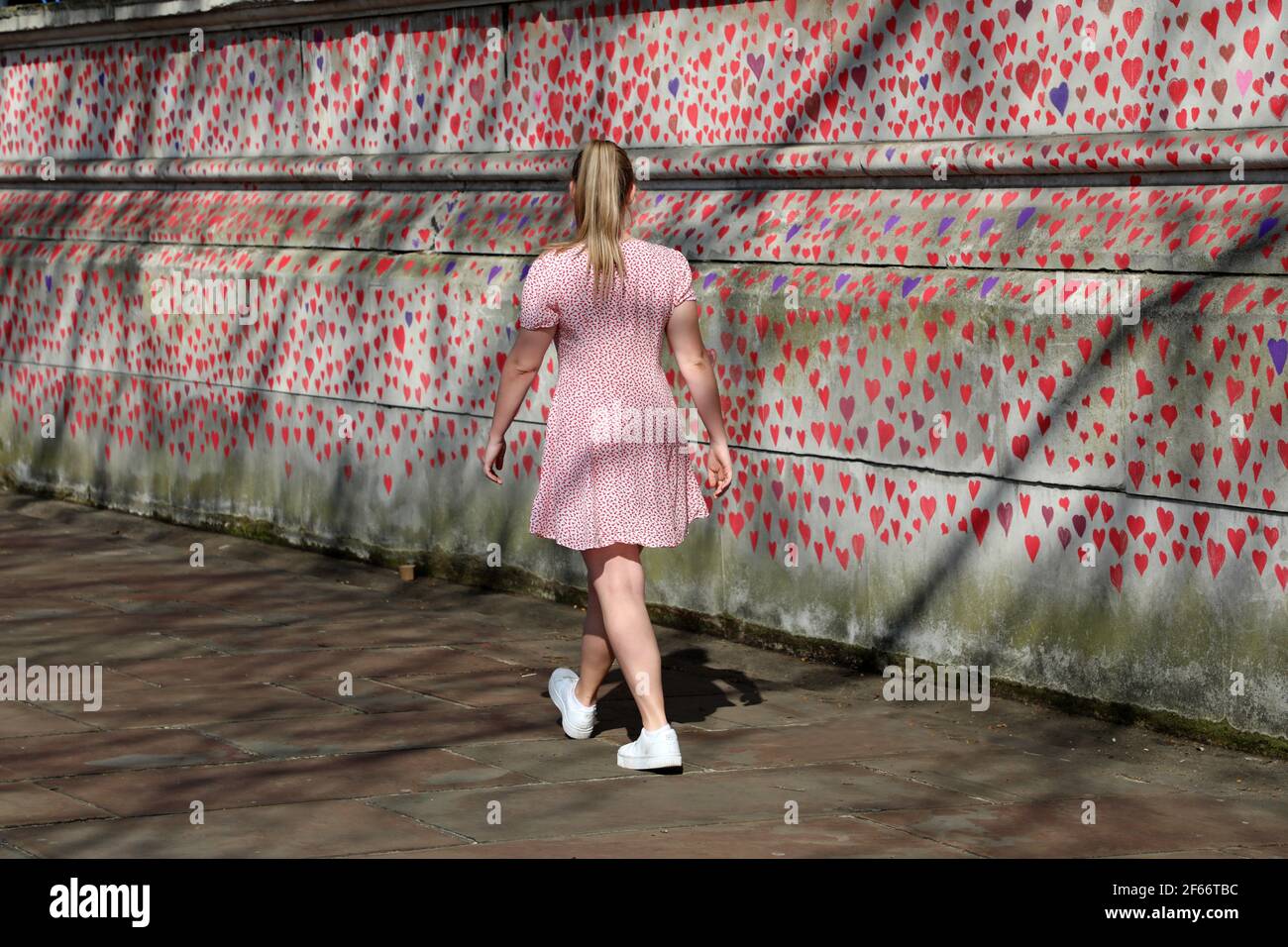 London, UK. 30th Mar, 2021. Hearts of the National Covid Memorial drawn by the Bereaved Friends and Family of Covid-19 on the embankment of the River Thames opposite the Houses of Parliament. The first of around 150,000 hearts which will be drawn on several hundred metres of the wall outside St. Thomas' Hospital in London, where Boris Johnson was admitted on contracting Covid last year. Credit: Paul Brown/Alamy Live News Stock Photo