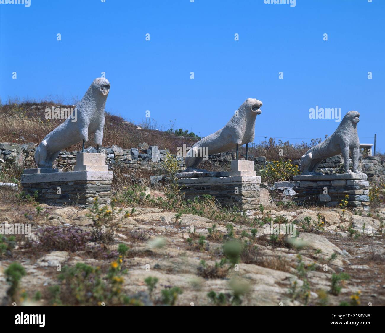 The terrace of the lions delos hi-res stock photography and images - Alamy