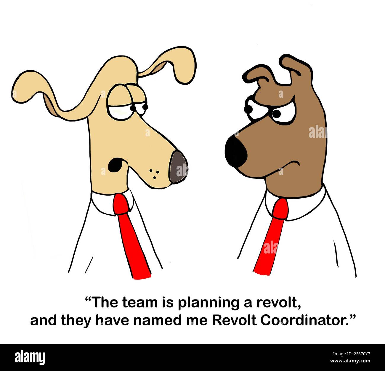 Dog associate tells boss that he is in charge of revolt Stock Photo