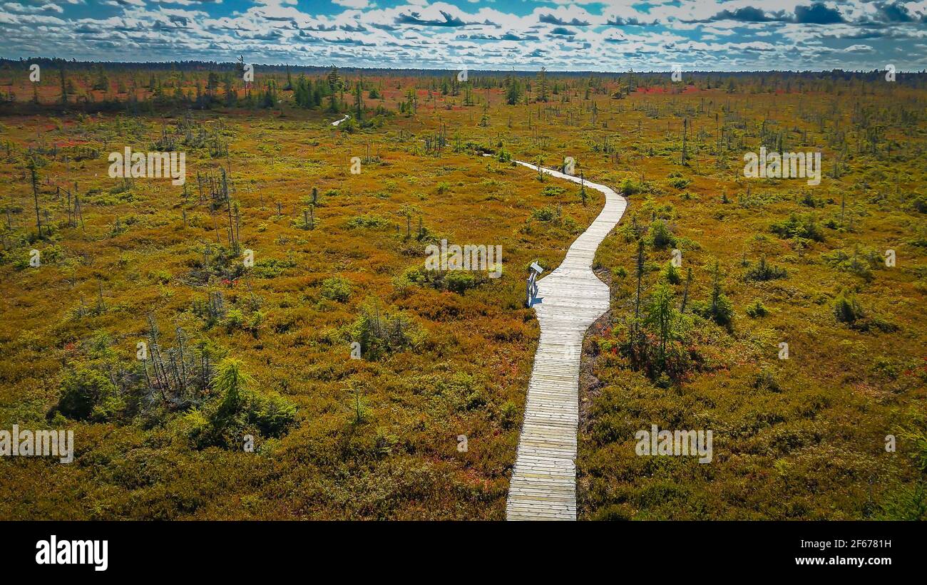 View of La Tourbiere or the Peat Bog trail part of Kouchibouguac