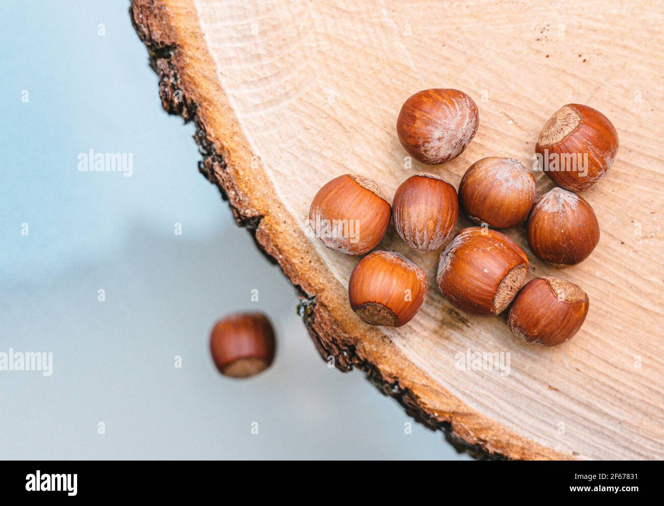 Hazelnuts on wooden tree cut tray, close up, top view. Hazelnut background. Stock Photo