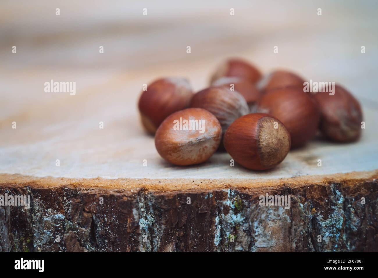 Hazelnuts on wooden tree cut tray, close up. Hazelnut background. Stock Photo