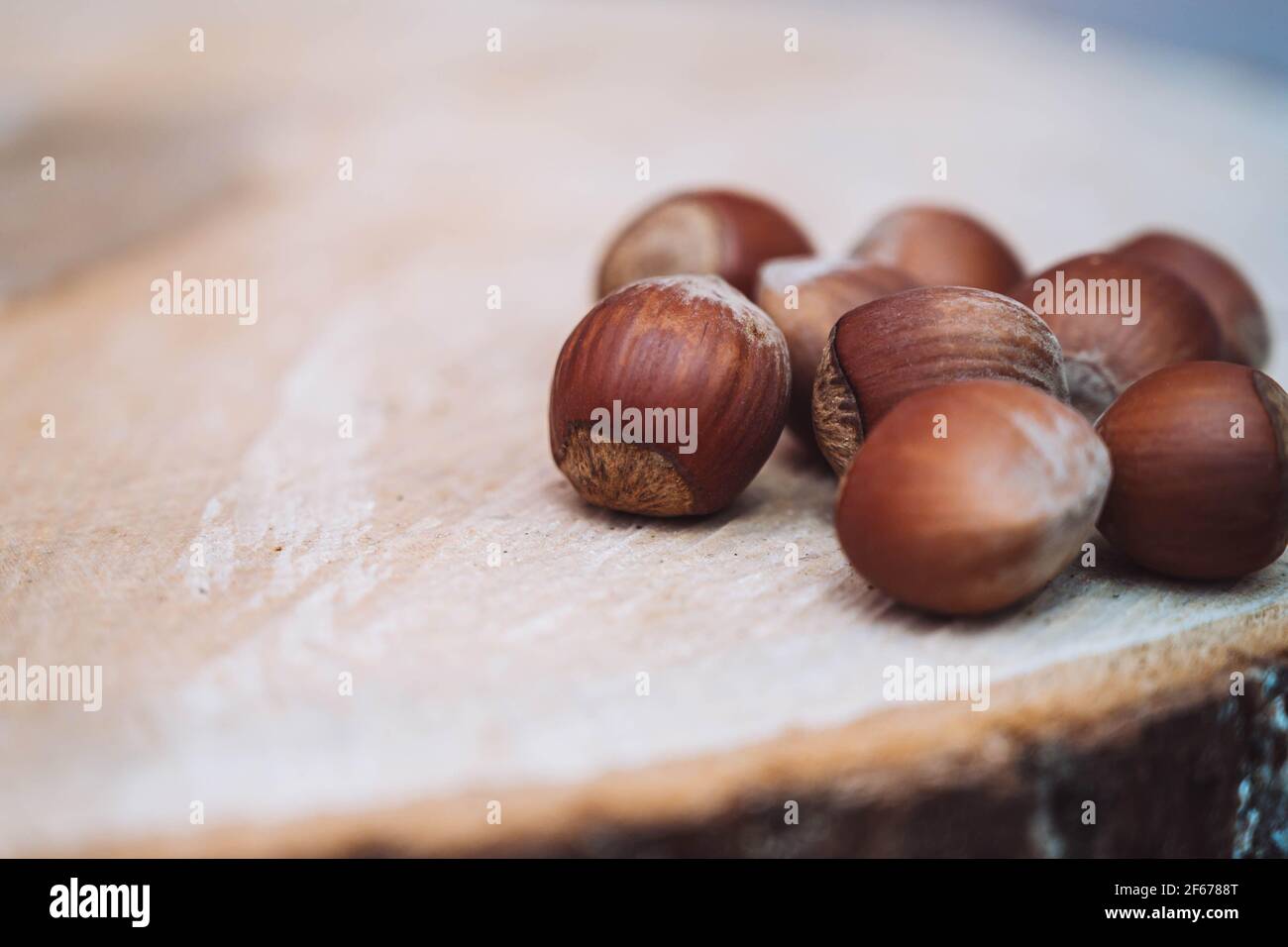 Hazelnuts on wooden tree cut tray, close up. Hazelnut background. Stock Photo