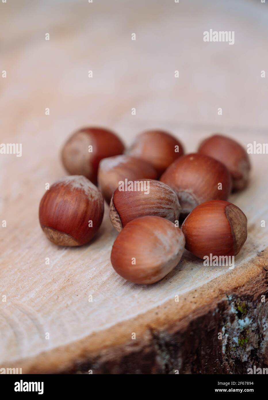 Hazelnuts on wooden tree cut tray, close up. Hazelnut background. Stock Photo