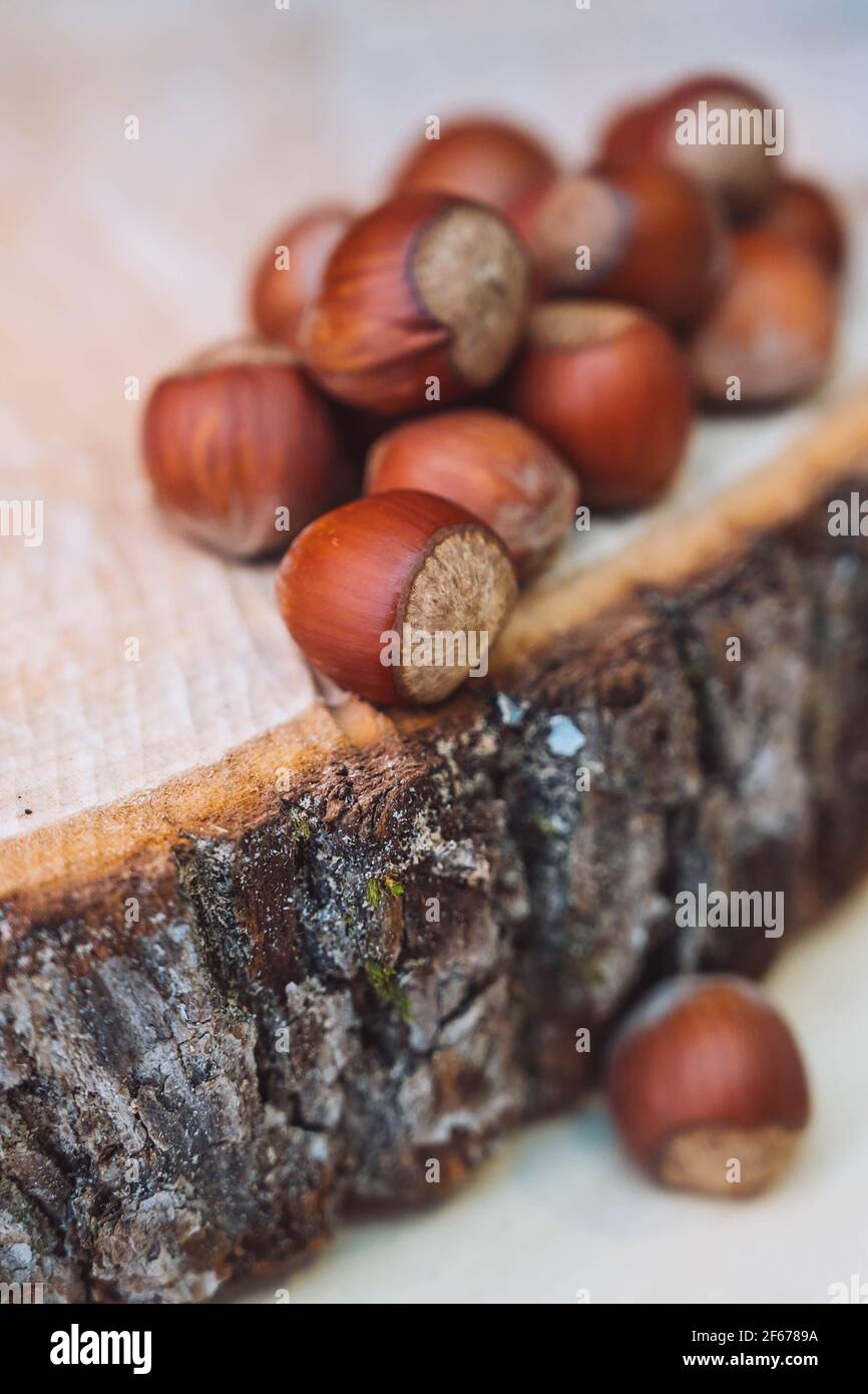 Hazelnuts on wooden tree cut tray, close up. Hazelnut background. Stock Photo