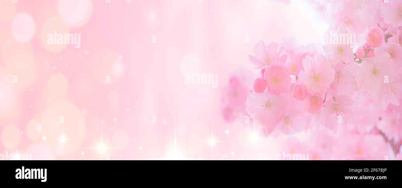 Soft dreamy pink bokeh background hi-res stock photography and images -  Alamy