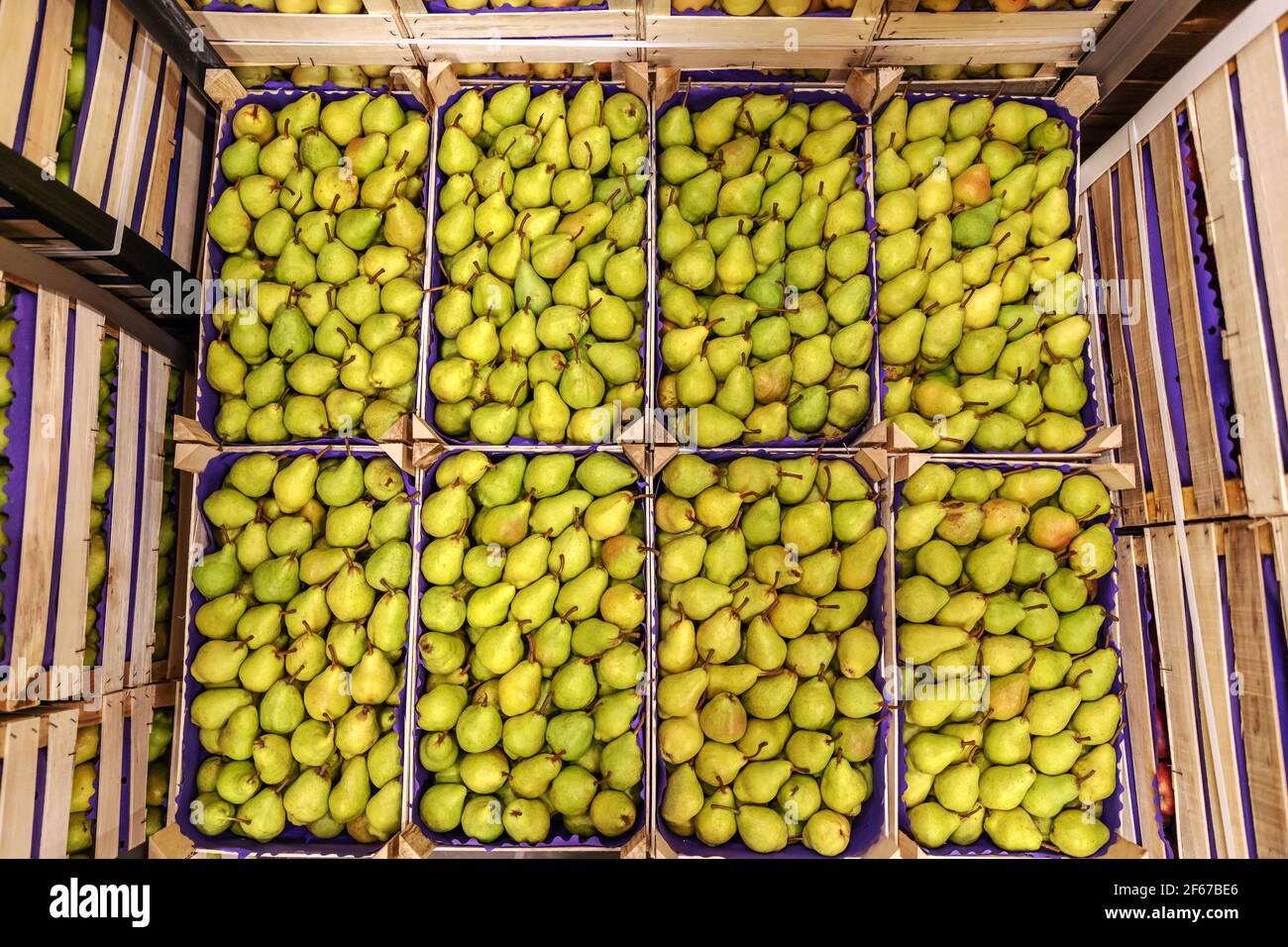 Fruits in crates ready for shipping. Cold storage interior Stock Photo