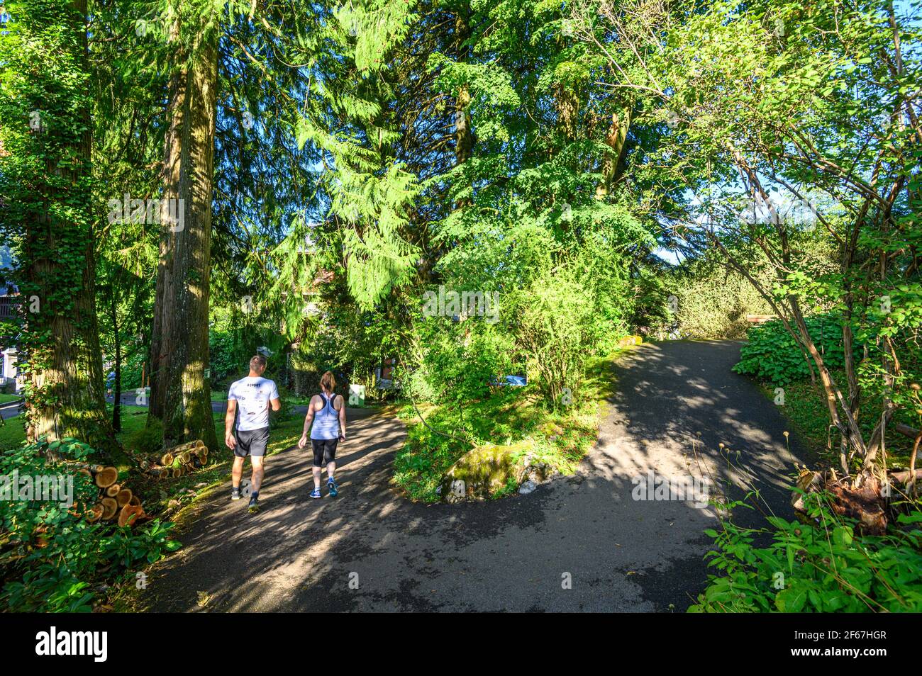 Back view of young tourist pair walking downhill on path between trees. U-turn on trail in forest. Beauty of Giffre mountains region, France. Stock Photo