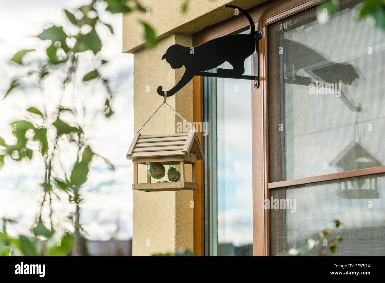 Beautiful bird frame hi-res stock photography and images - Alamy