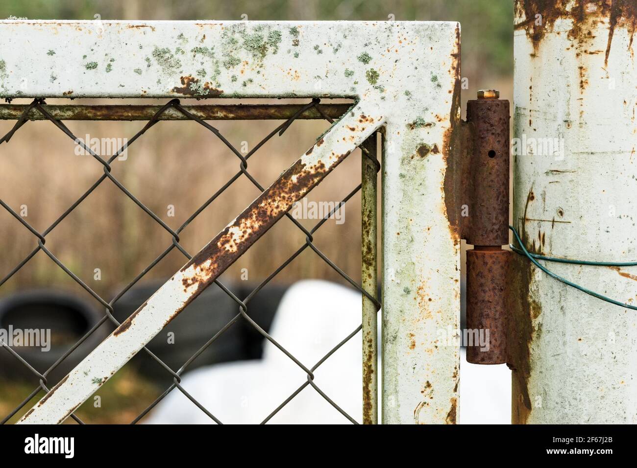 old gate closeup rusty hinges wearing paint Stock Photo Alamy