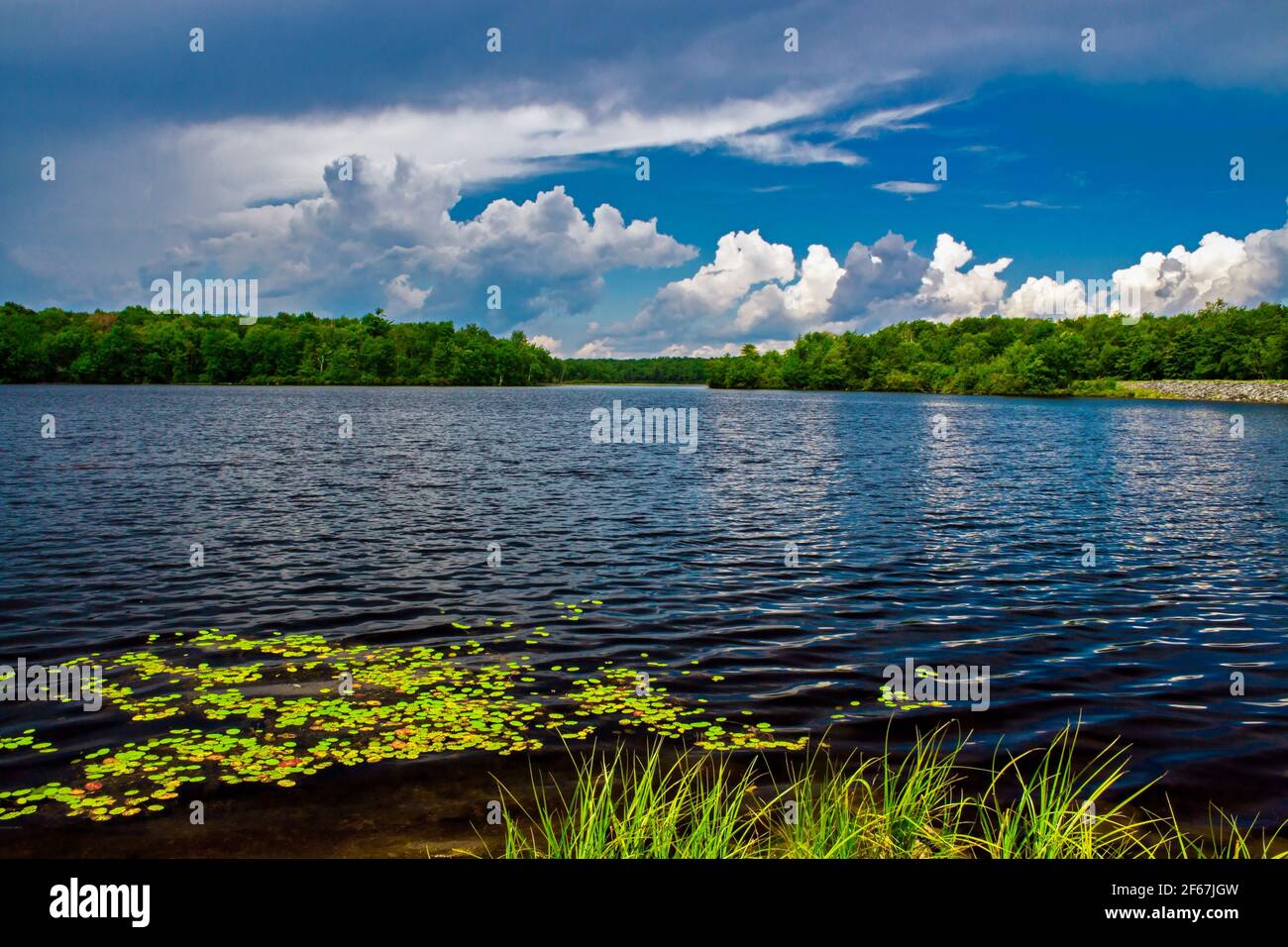 170acre Tobyhanna Lake is the centerpeice of Tobyhanna State Park in