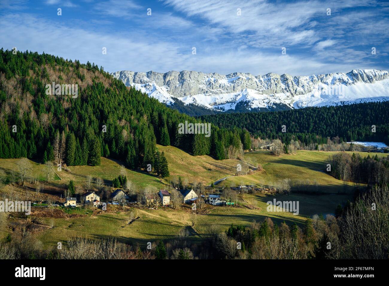 Aerial view of green mountain landscape. Few houses surrounded by meadows and forest. Vercors rocky mountain ridge covered with snow in background. Stock Photo
