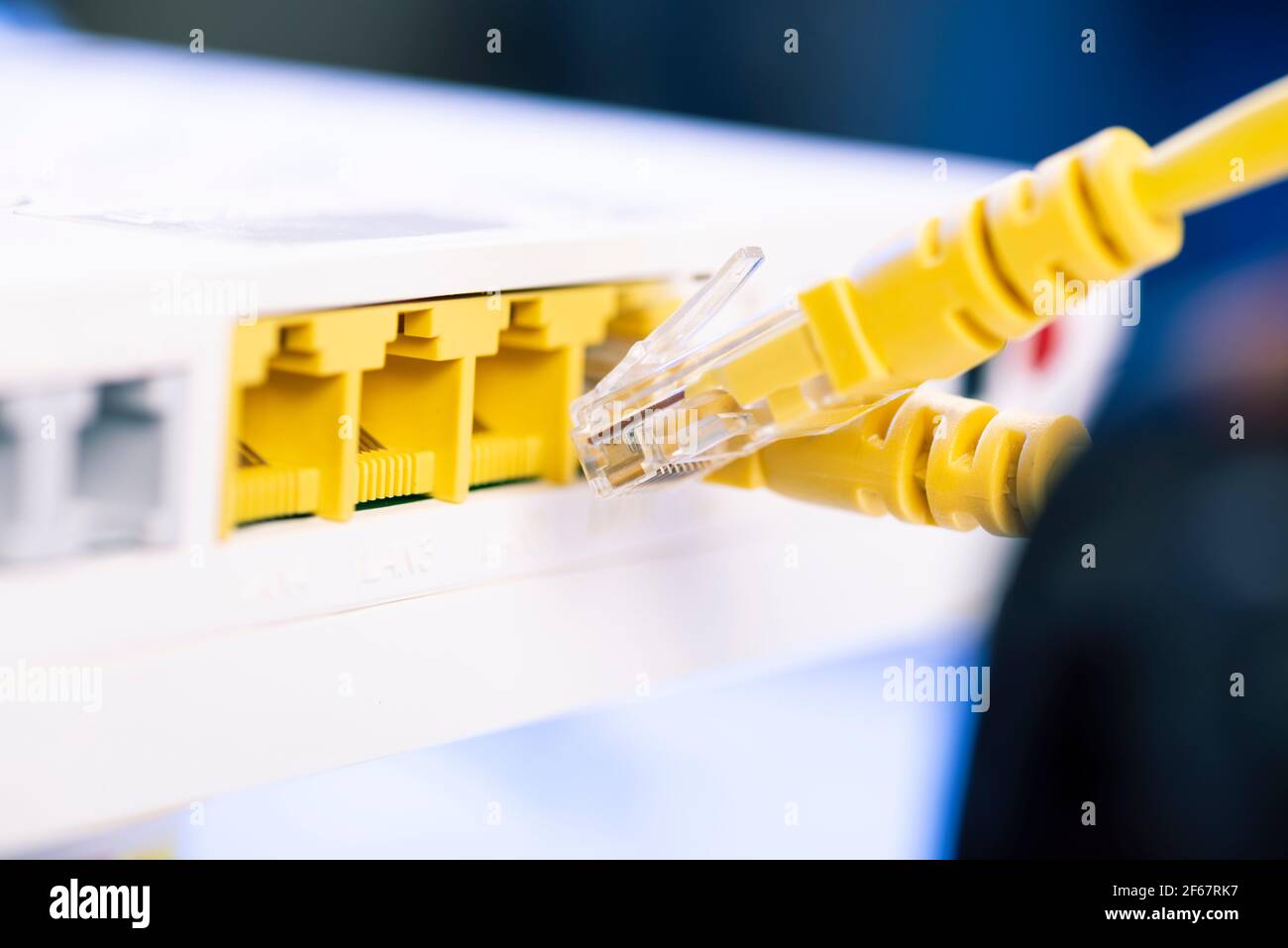 Two network cables connected to the hub. Stock Photo