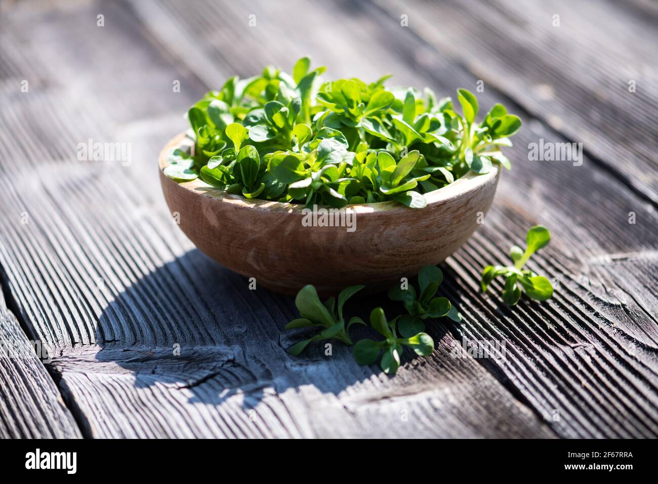 Corn salad on a round wooden plate Stock Photo