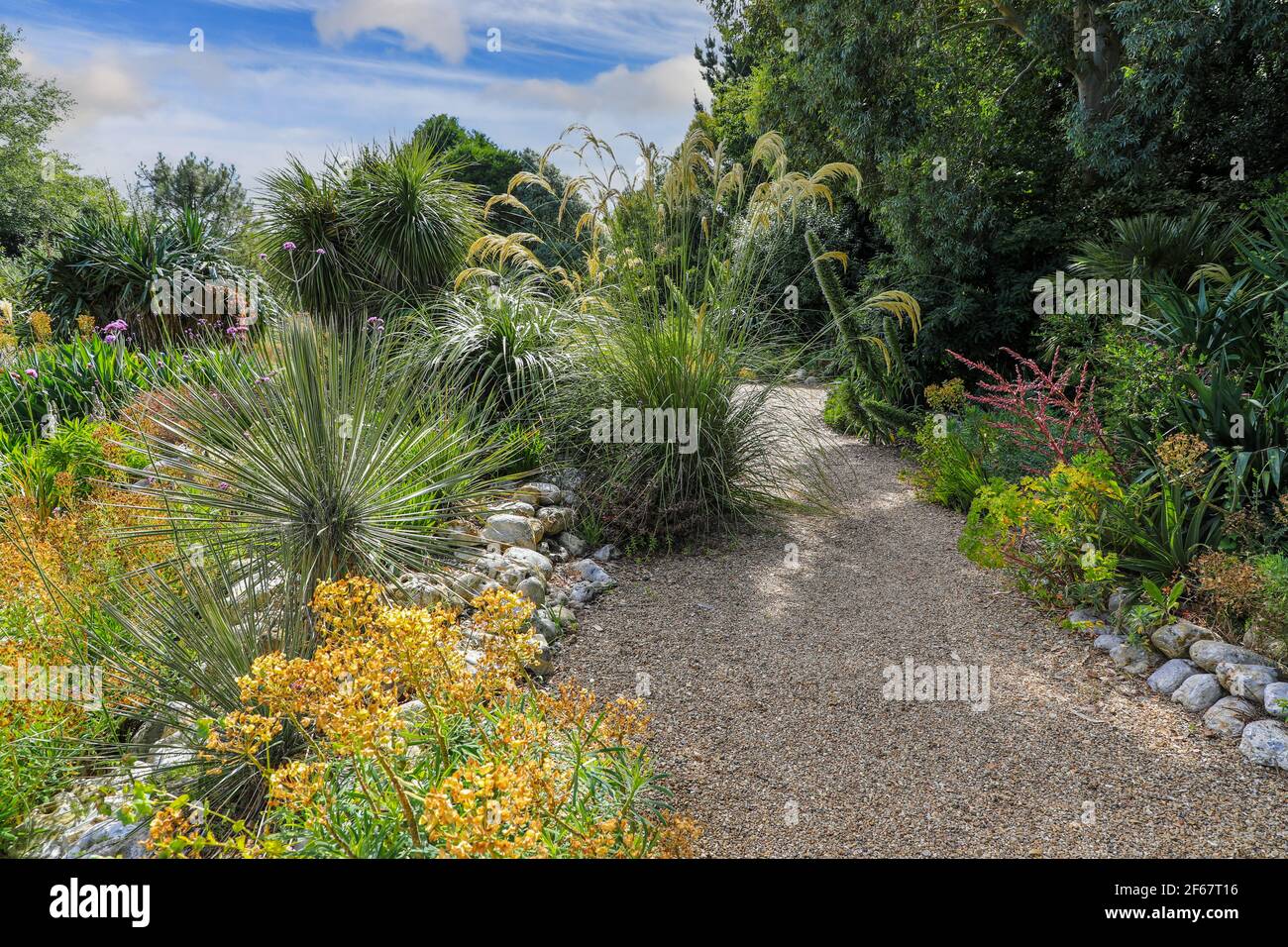 The Desert Wash garden at East Ruston Old Vicarage Garden, East Ruston, Norfolk, England, UK Stock Photo