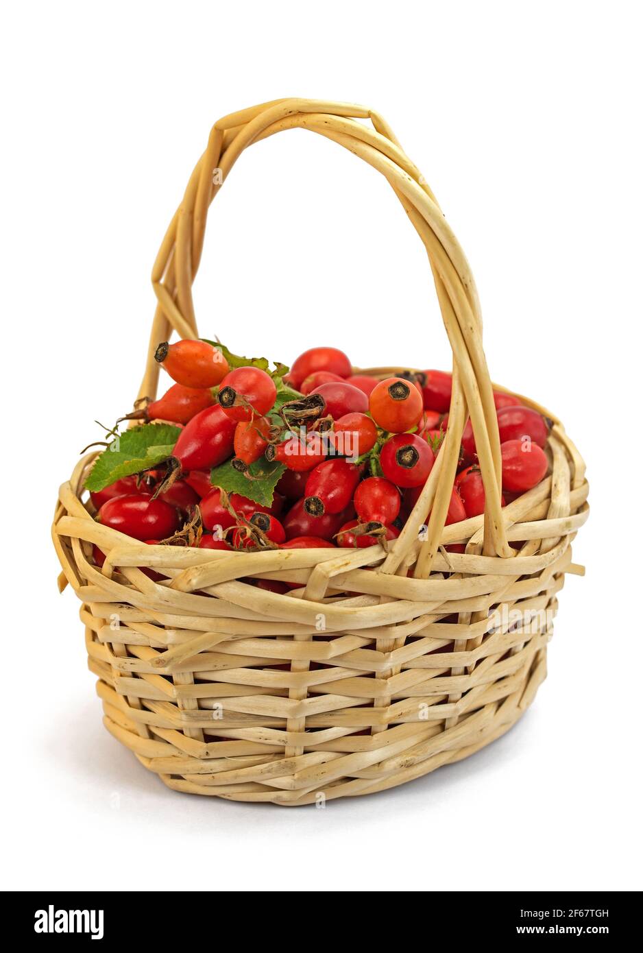 Ripe harvested rose hips in basket against white background Stock Photo
