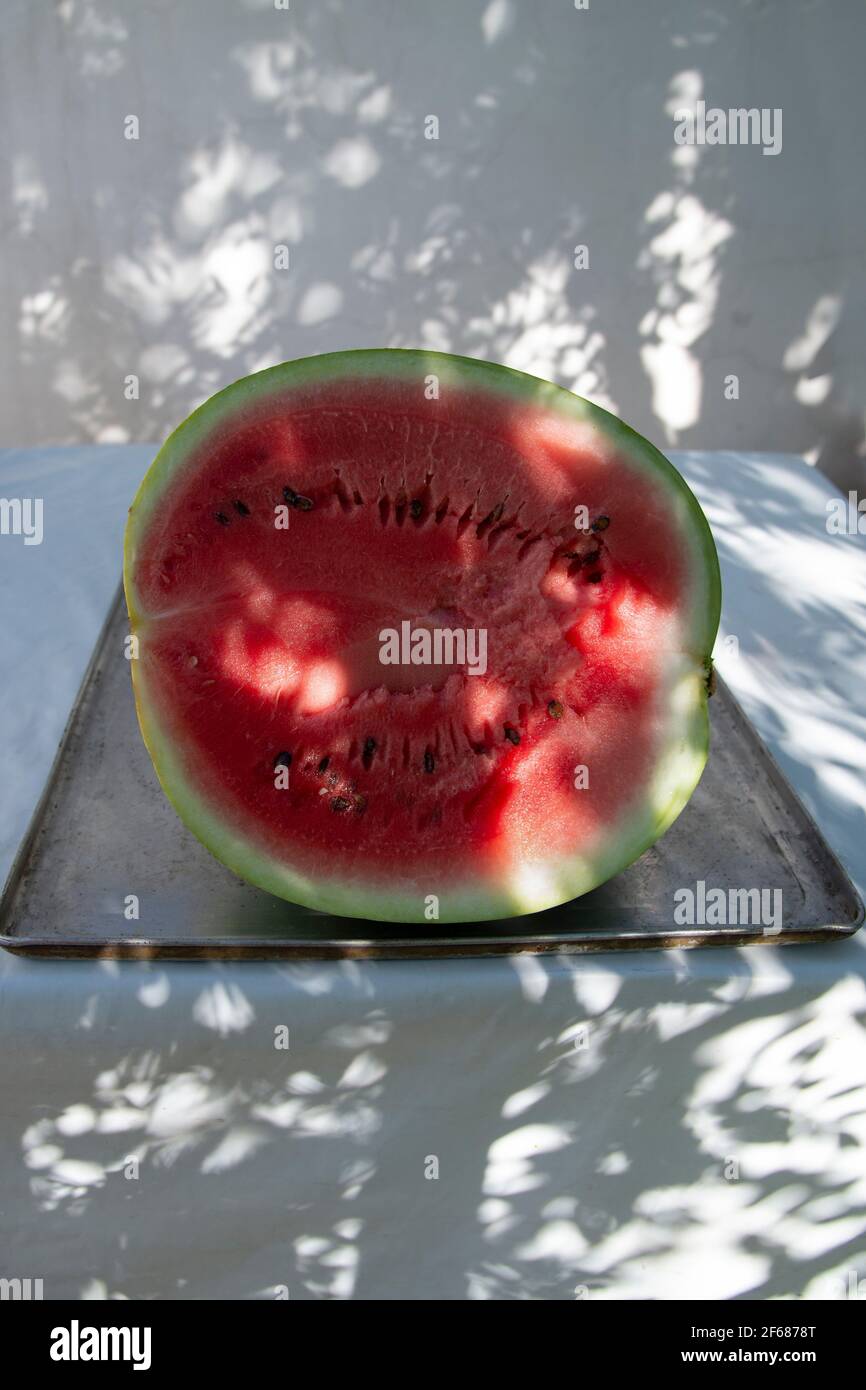 Half a red watermelon on a white table in the shade of the trees. The concept of healthy fruits Stock Photo