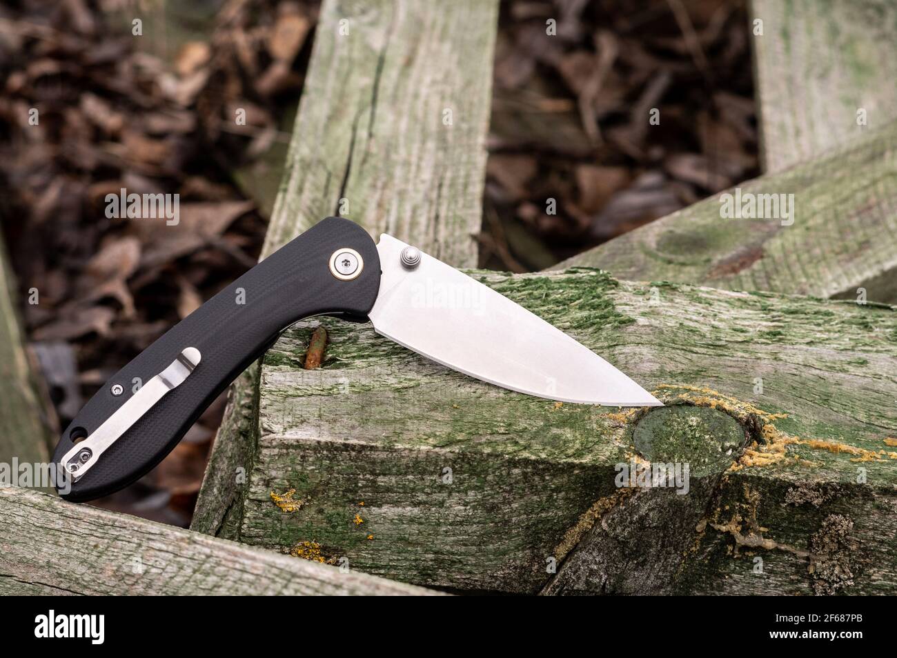 Pocket knife with black handle and carrying clip. A knife on a tree
