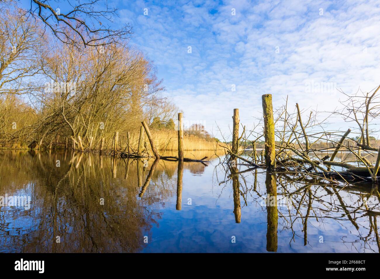 View across Frensham Little Pond, near Farnham, Surrey, a local rural beauty spot and recreational area, on a sunny day in late winter to early spring Stock Photo