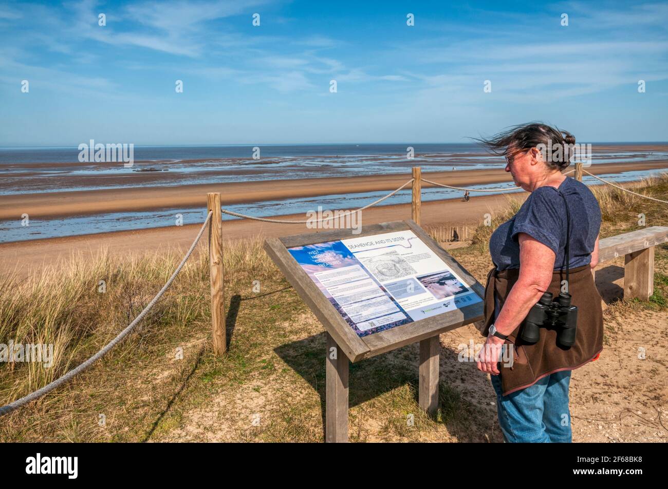 Woman reading an interpretative sign at the discovery site of Seahenge at Holme-next-the-Sea on the North Norfolk coast. Stock Photo