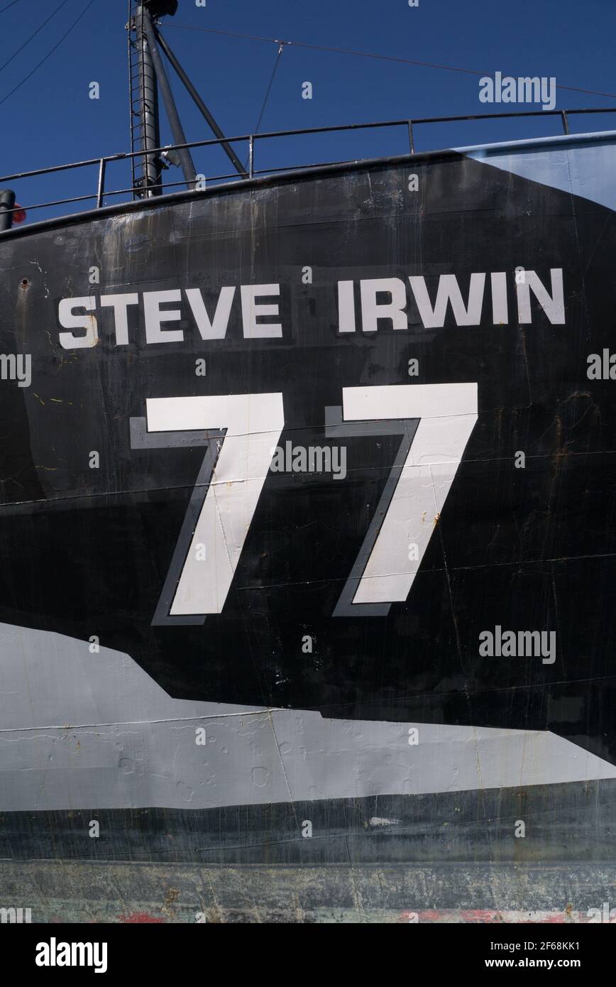 The Steve Irwin anti-whaling ship docked at Williamstown, Victoria.  Now a museum, bar and restaurant. Stock Photo