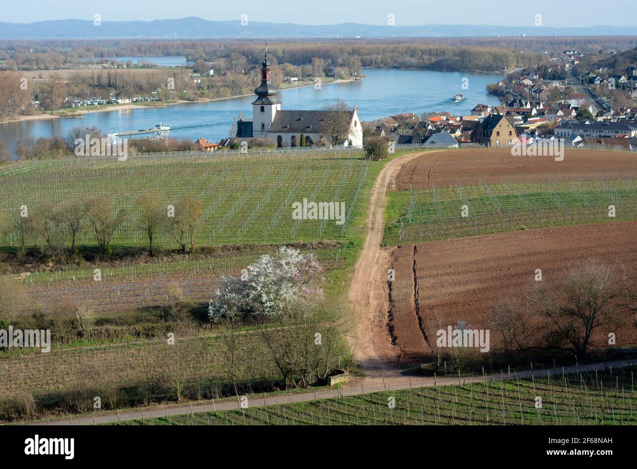 Spring colors and a view on the village Nierstein with vineyards and the river rhine at daylight Stock Photo