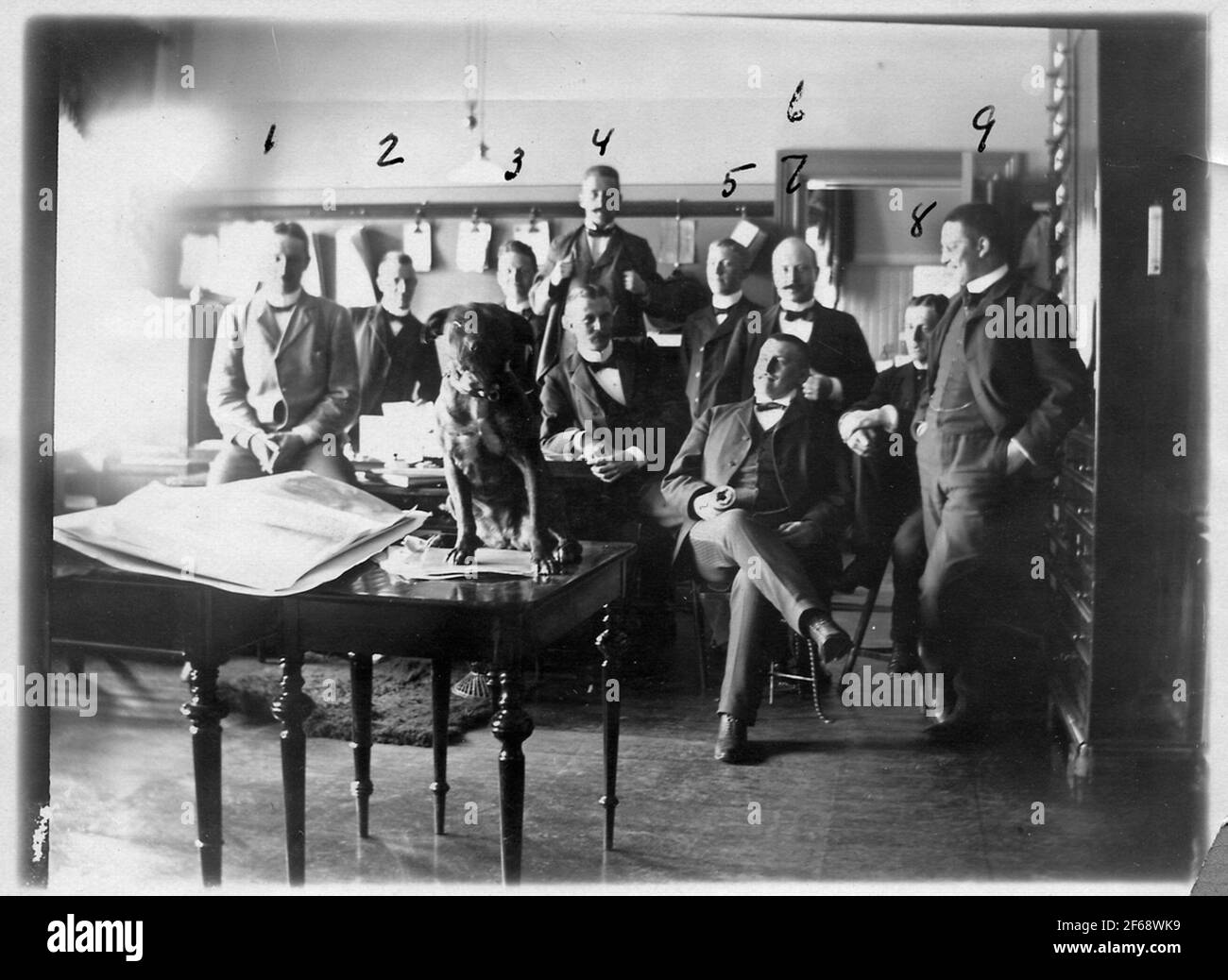 The office staff Black and White Stock Photos & Images - Alamy