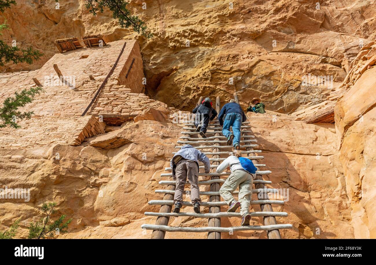Tourists climbing a ladder to reach the Long House cliff dwelling of the Pueblo civilization, Mesa Verde national park, Colorado, USA. Stock Photo