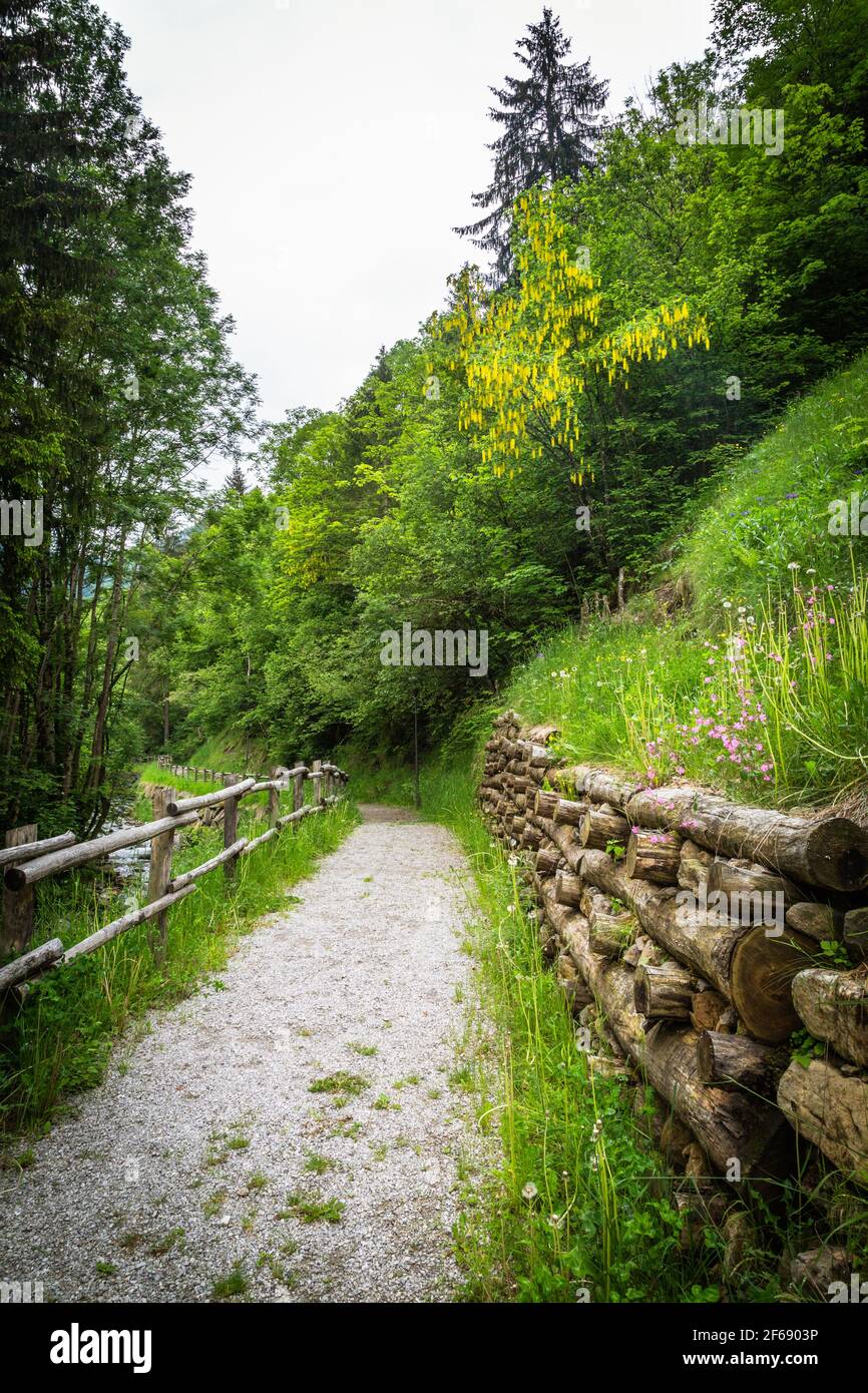 pedestrian path in the middle of the countryside Stock Photo - Alamy