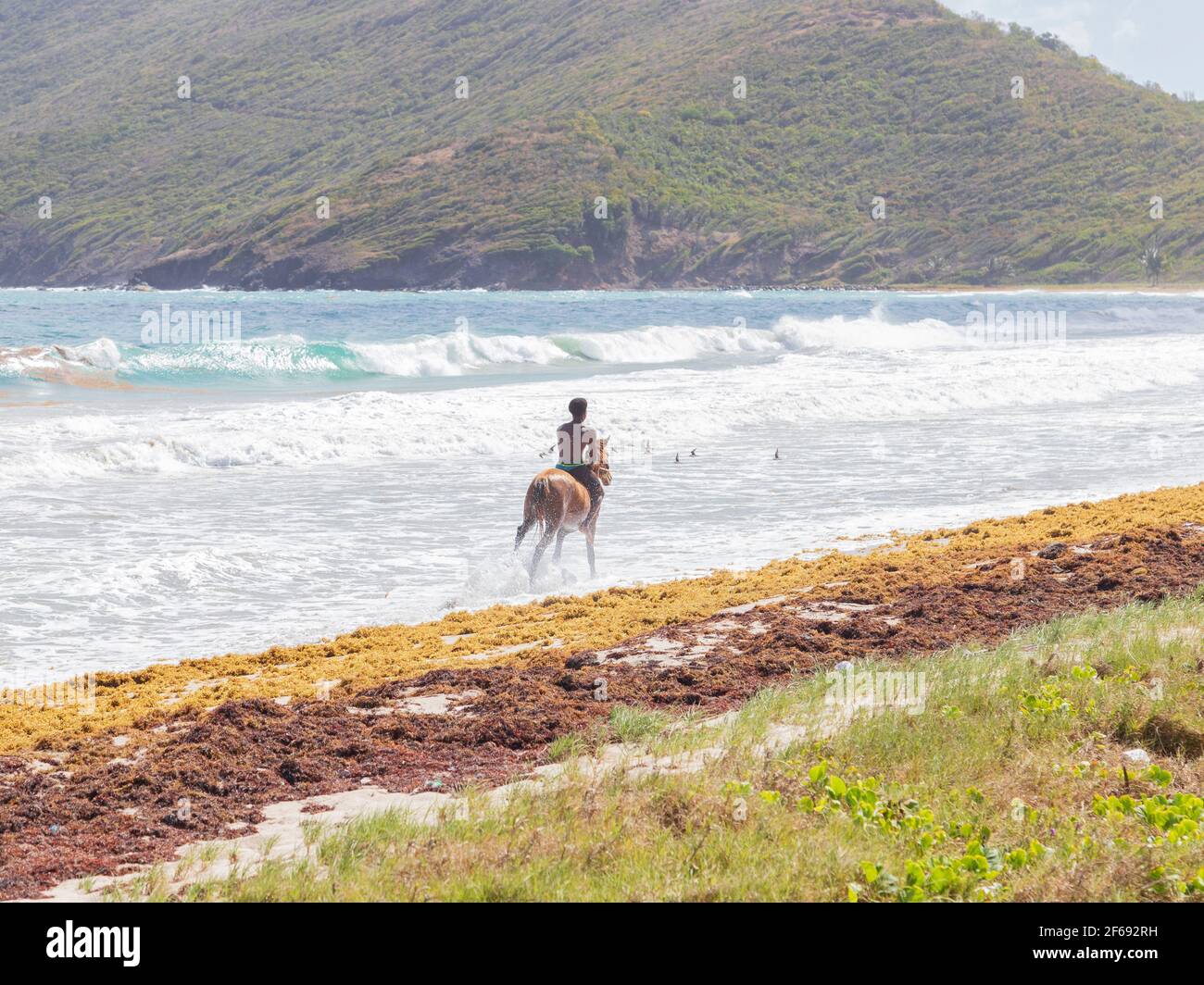 Young man riding a horse on the beach Stock Photo