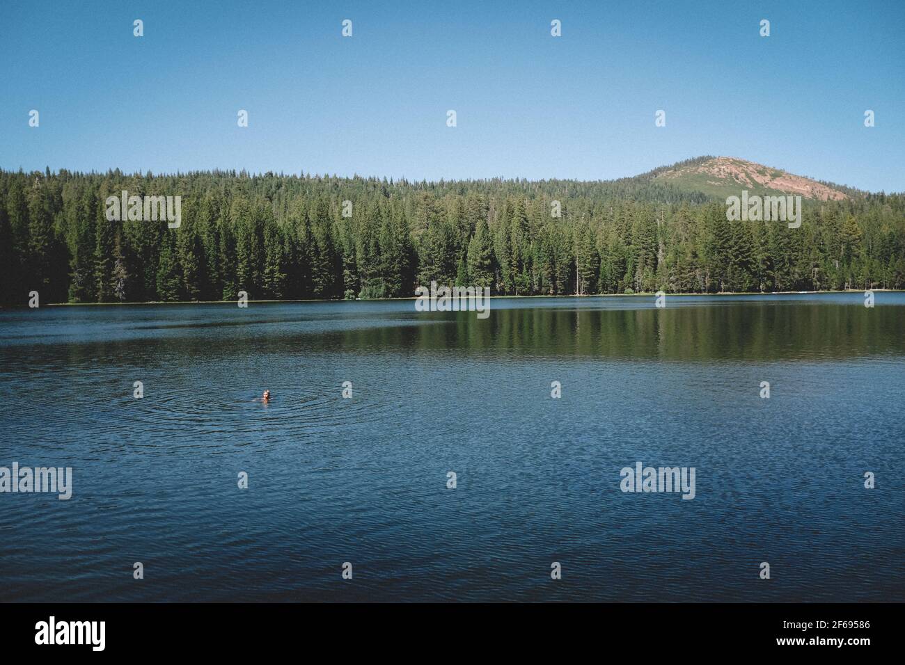 Distant View of Boy Treading Water in the Center of a Scenic Lake Stock Photo