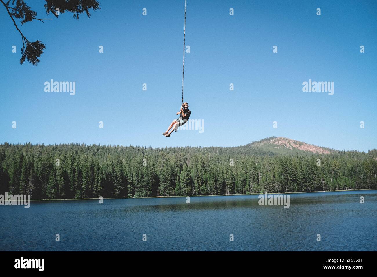 Young Boy Swings High above the lake on a rope swing Stock Photo Alamy