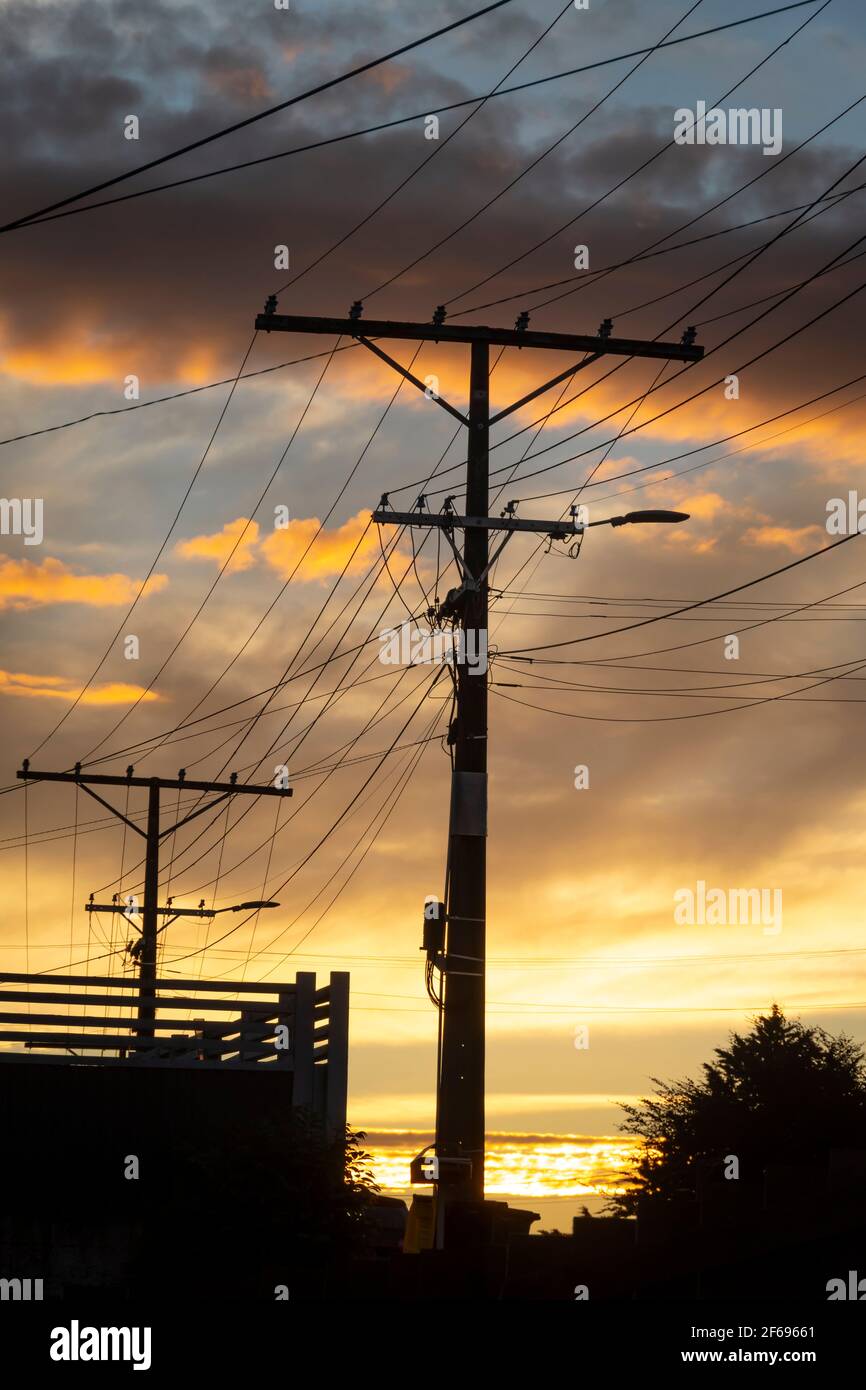Power Poles And Wires At Sunset Te Awamutu Waikato North Island New 