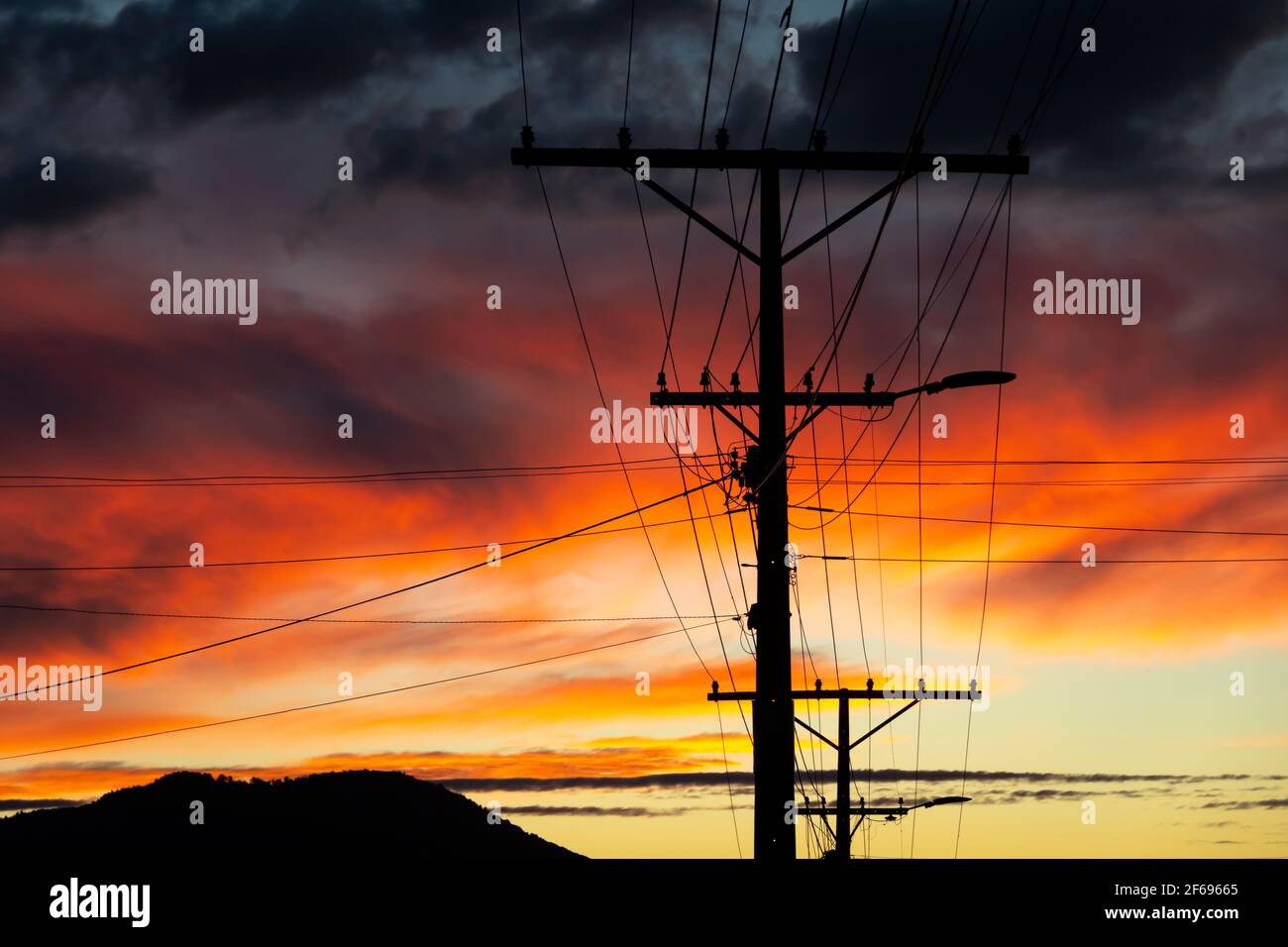 Power Poles And Wires At Sunset Te Awamutu Waikato North Island New 
