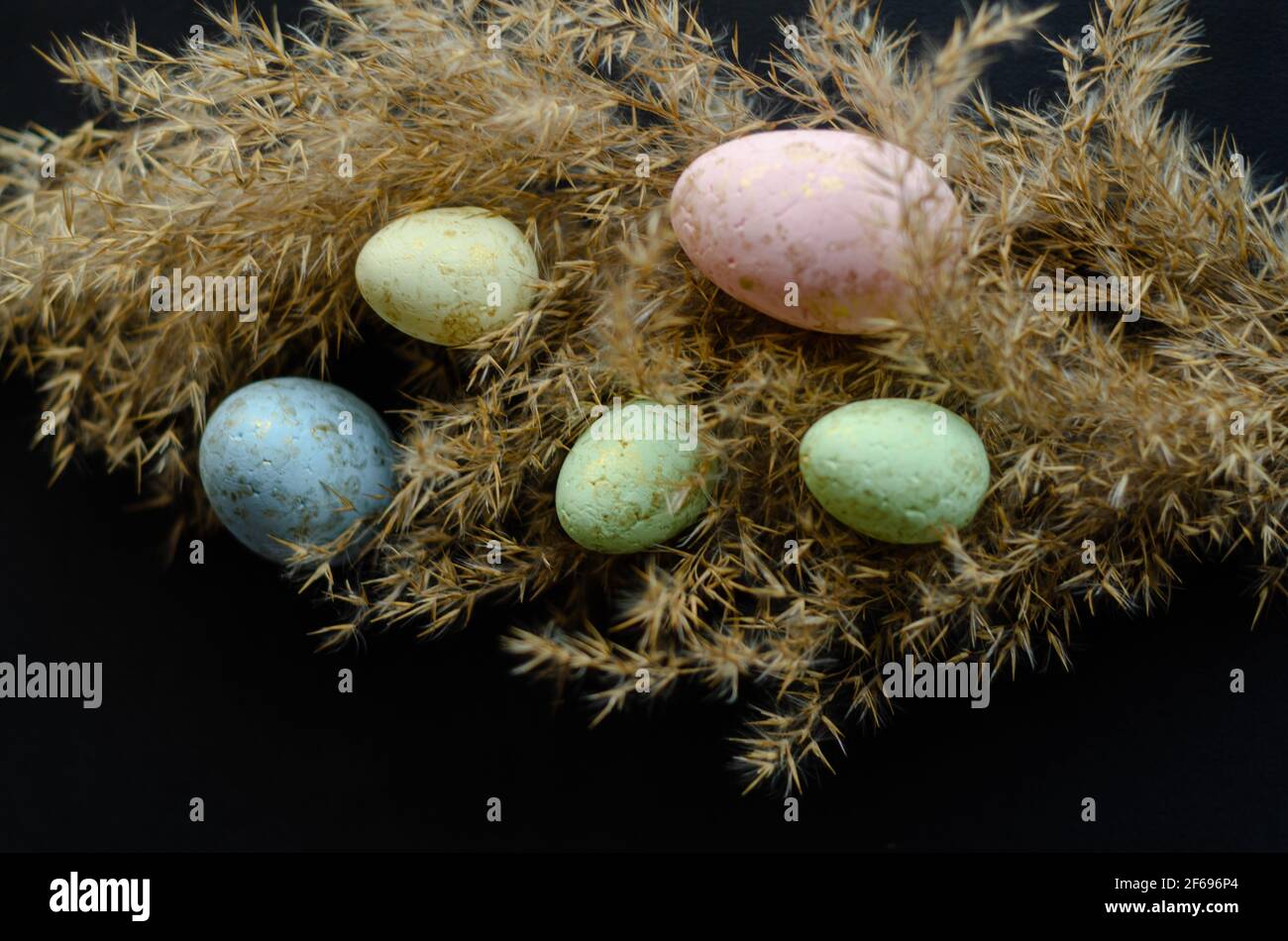 colored eggs on a branch on a black background, free space Stock Photo