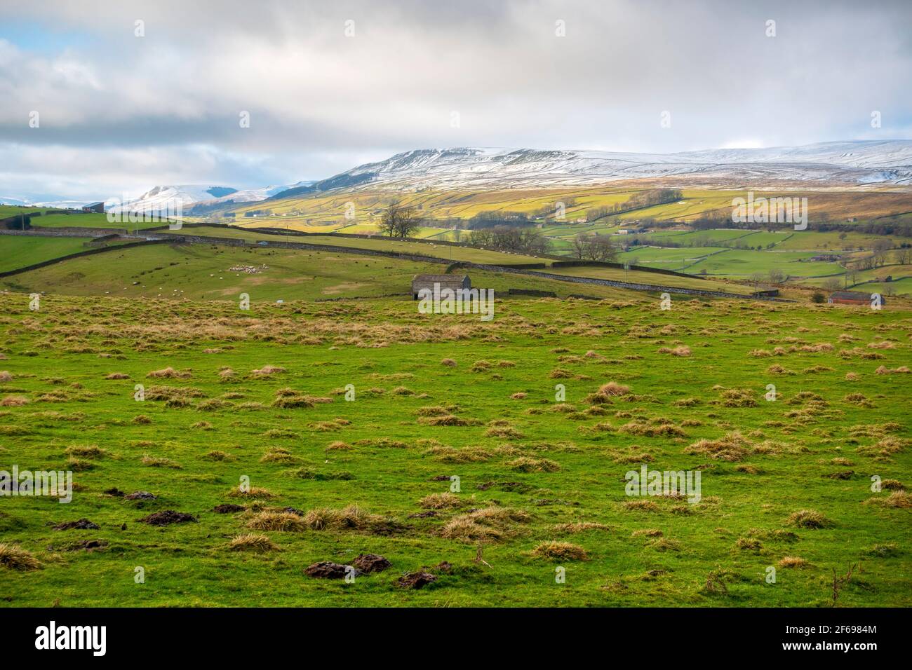 Wensleydale on a January afternoon, Yorkshire Dales National Park Stock Photo
