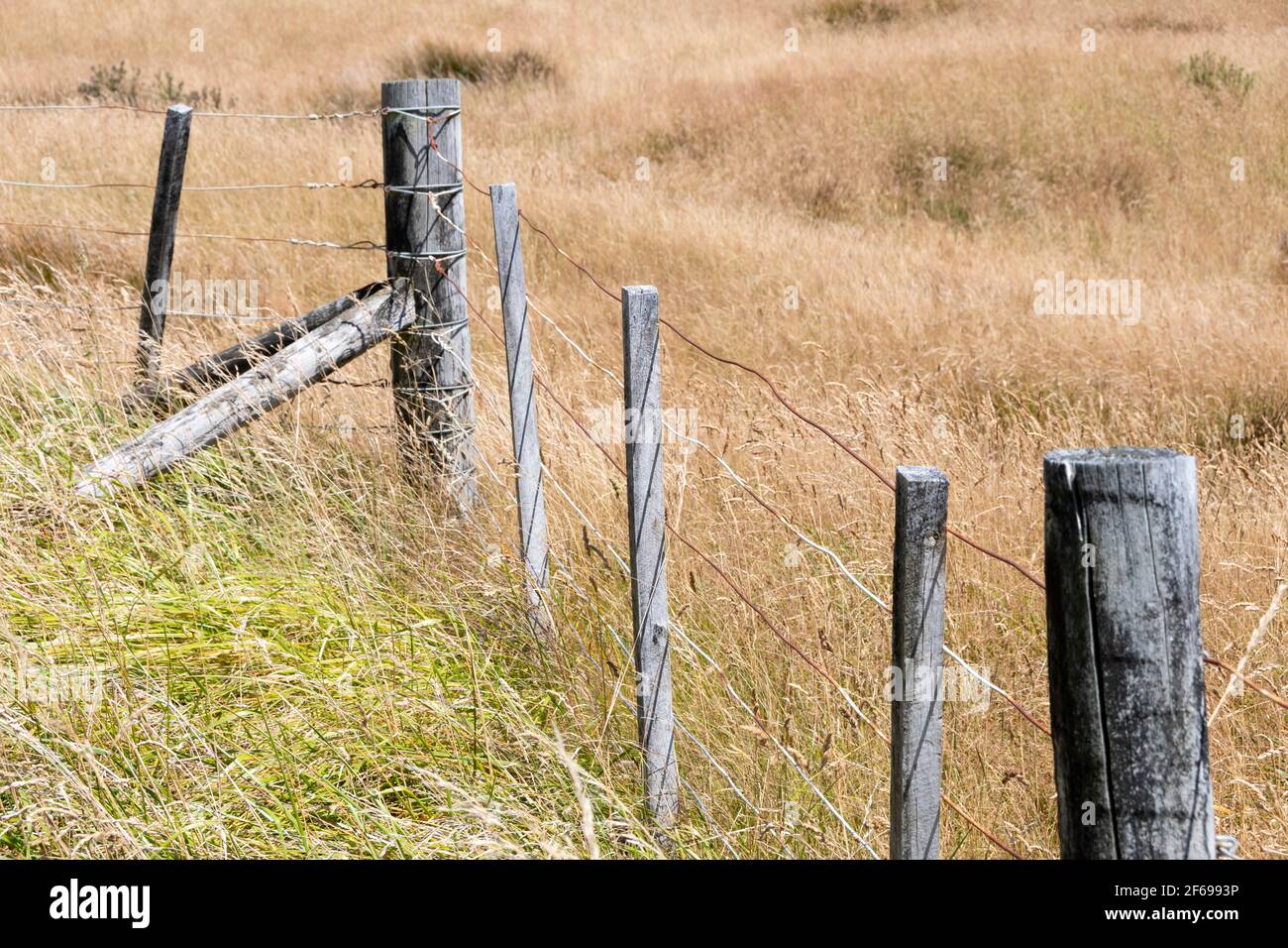 Post and wire fence, Castlepoint, Wairarapa, North Island, New Zealand ...
