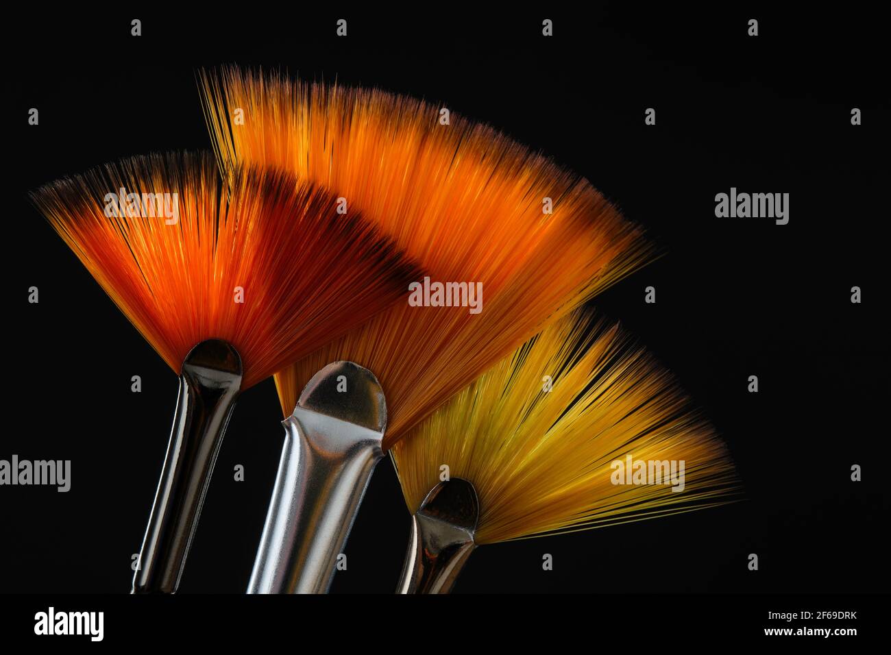 Three fan shaped paintbrushes. Artistic flat fan brushes with orange hairs for watercolor or acrylic painting on black background. Stock Photo