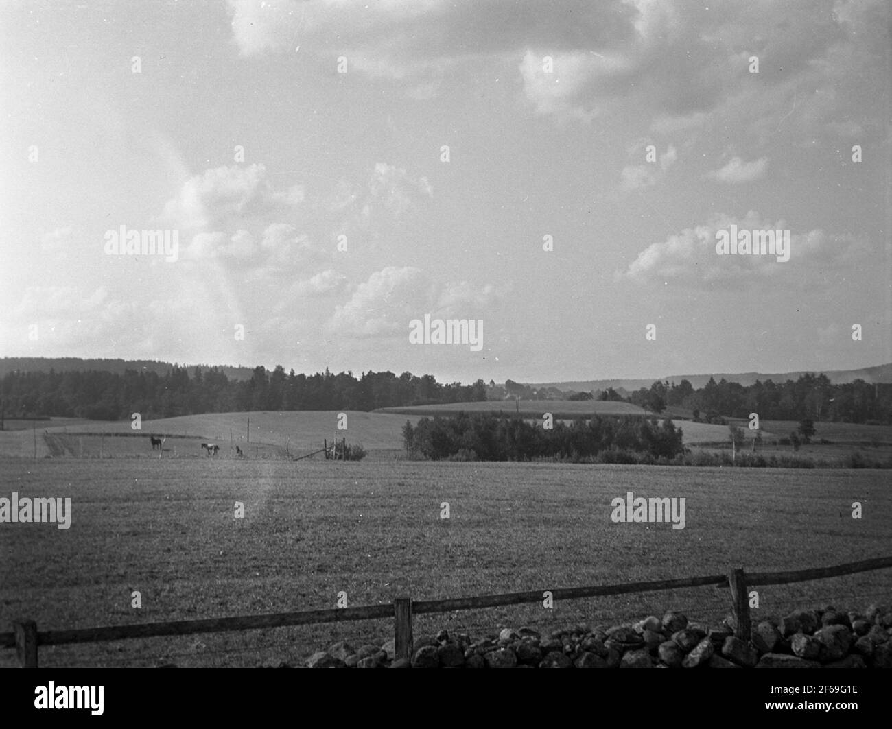 The line towards Skultorp Stock Photo Alamy